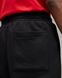 Брюки мужские Jordan Essentials Men's Fleece Trousers (FJ7779-010) FJ7779-010 фото 5 — Beauty&Fashion
