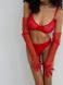 Однотонный базовый комплект нижнего белья (бюстгальтер+трусики) женского красного цвета SM2213 фото 8 — Beauty&Fashion