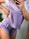 Жіночий м'якенький комплект піжами трійки з плюшевого велюру (Лавандовий) 009/21.12 фото 2 — Beauty&Fashion